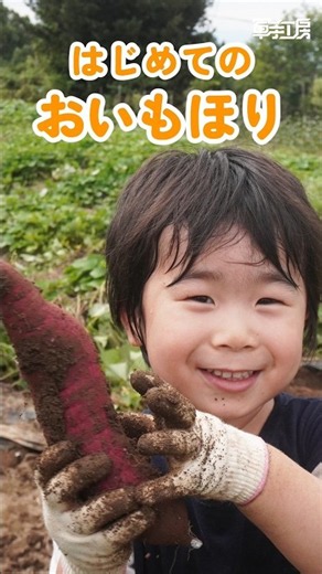 【 はじめてのお芋掘り 】3歳の男の子がお芋掘りに挑戦！ #お芋掘り #子供 #軍手 #子育て #3歳児 #自然体験 #軍手工房 #秋