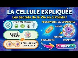 Biologie cellulaire : Introduction aux fondamentaux de la cellule | L’Académie Scientifique