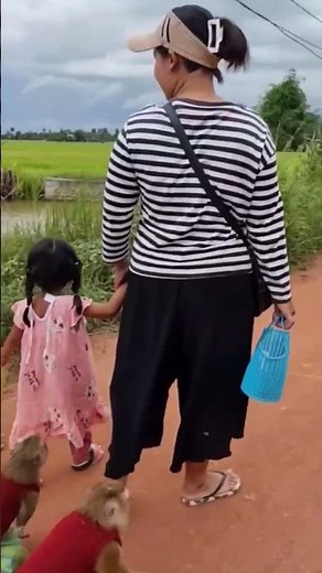 YaYa and Shally follow their mother #shally #monkey #yaya #cute #animal #babymonkey