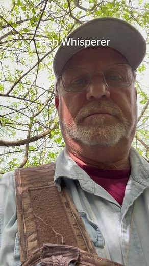 Fish whisperer on TikTok