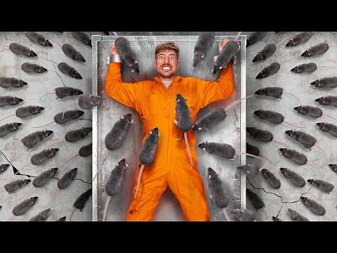 Face Your Biggest Fear To Win $800,000