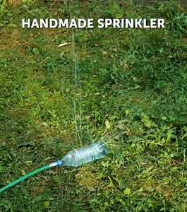 Hack your gardening skills with these tips & tricks! | 5-Minute Crafts