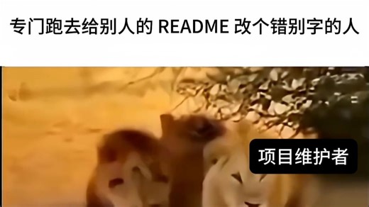 精通写 README 的高手