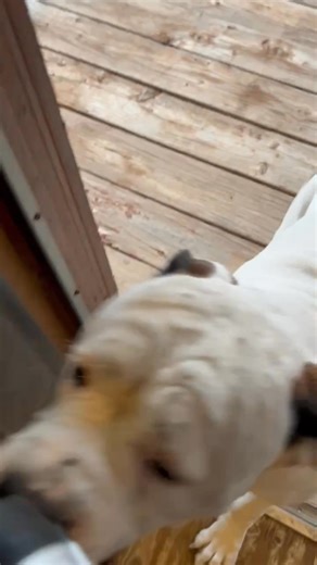 Jimmy Carter on Reels