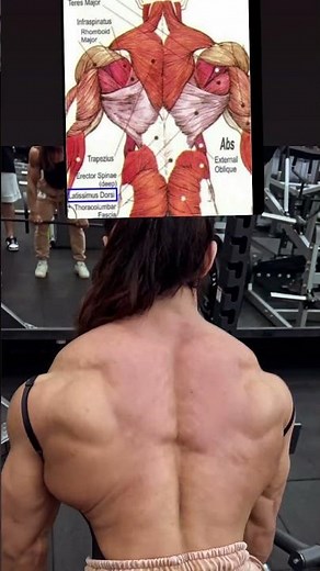 Incredible Back Anatomy & Muscle Growth! 💪