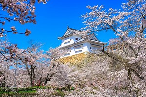 Tsuyama Castle and Kakuzan Park | Japan‘s Local Treasures | Travel Japan （JNTO）