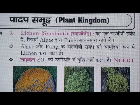 🔥 SCIENCE RAILWAY EXAM🎯GROUP D ✅ALP TECHNICIAN #science #fact#gk #knowlege #ssc #railway #trick