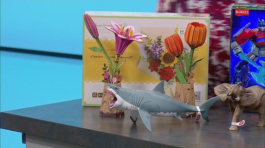 Fast and Fun Toy and Hobby debuts new name, same passion for play