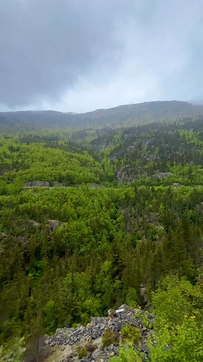 Stunning views from Skagway, Alaska train ride! #Skagway #Alaska #train #nature #2025reels @highlight #blessed | Corey Thornton