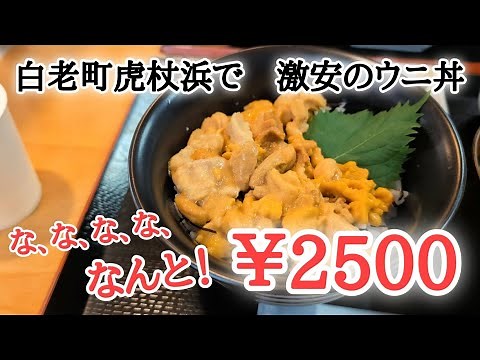 [Hokkaido] Limited quantity sea urchin bowl lunch at "Tarakoya Tojohama" 🤤 The dried fish is also...