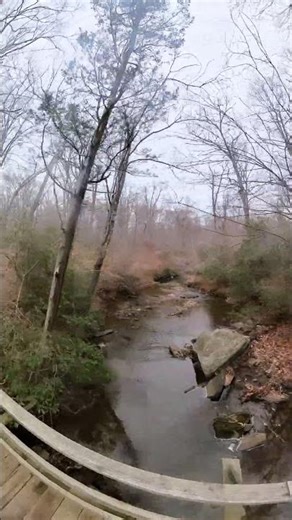 Prince William Forest 13 Mile Long Run - North Valley Trail