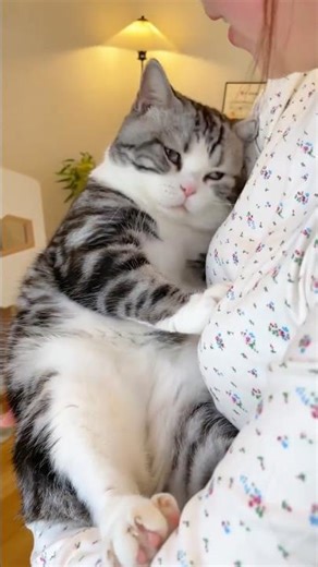 Cute Cat Love With Girl 🐱💕 | Heart Touching Bonding Moments”