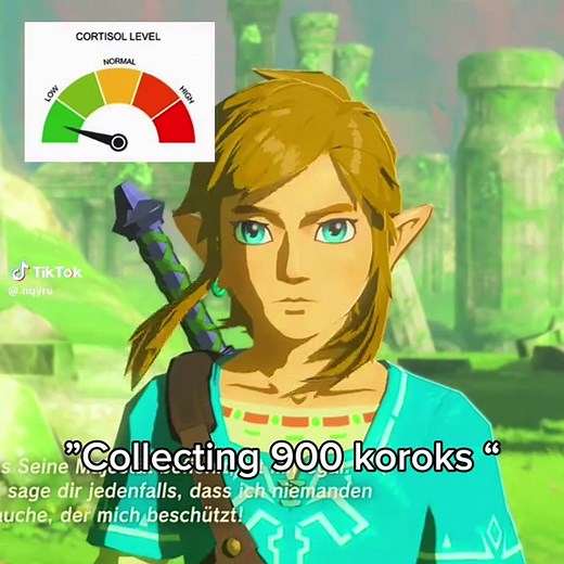 Hilarious Moments in Zelda: Breath of the Wild
