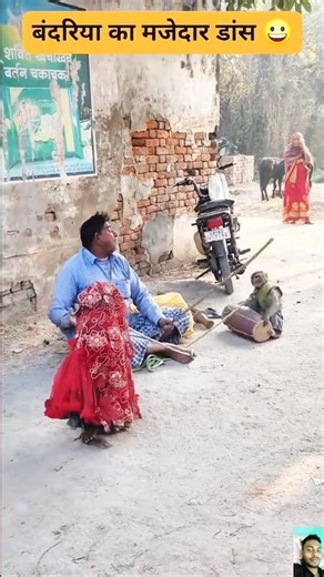 When the band is made of monkeys! 🐒🥁 This is too funny! 😂 #Monkey#FunnyAnimals#AnimalComedy