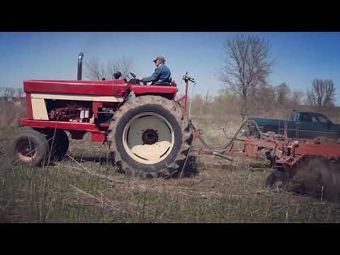 International 1066 with Disc in the Field - Operation Hobby Farm