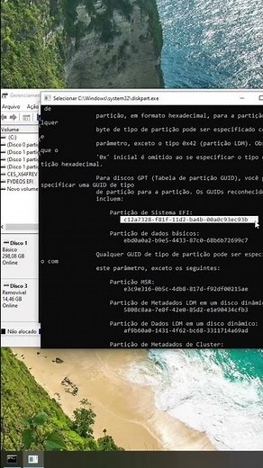 Dual Boot sem Formatar: Windows + FydeOS (Fácil!)