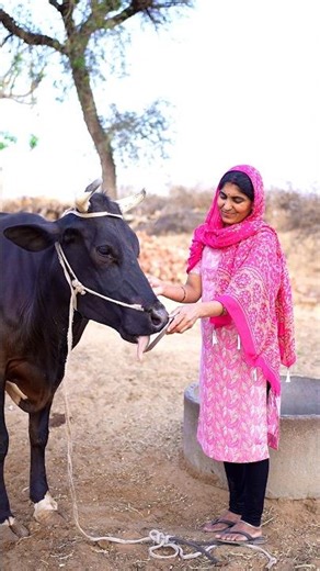 Mama ne Cow 🐮 ko maggi 🍝 khila diya #shorts #maggi #maa #cow