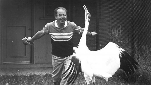One Canadian’s lifelong mission to save the whooping crane