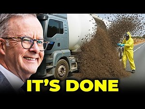 Australia Released a Tiny Wasp Army — What Happened Terrified Scientists