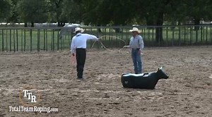 19K views · 307 reactions | Roping the Smarty with Clay Tryan on www.totalteamroping.com! | Total Team Roping | Facebook