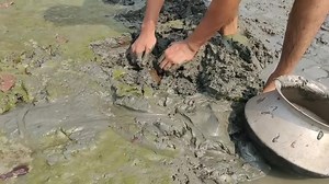 Muddy Hands: Digging Techniques in Wet Environments