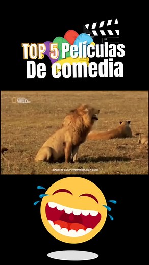Top 5 Películas de Comedia - Recomendaciones y Risas Aseguradas