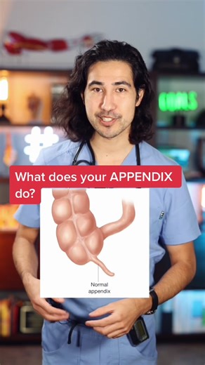 Understanding the Role of Your Appendix in Your Body