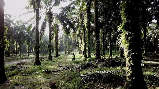 95K views · 1.6K reactions | In his new book called "The Nature of Nature," Dr. Enric Sala—ecologist and founder of National Geographic Pristine Seas—makes the case that conservation of our planet is our best health insurance plan, makes smart economic sense, and is a moral imperative. Buy his book today: https://on.natgeo.com/2YyCzD5 | National Geographic | Facebook