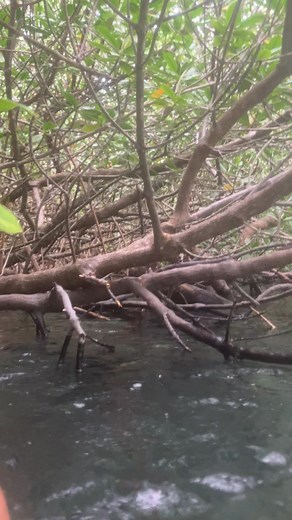 Wen loal se wie doudou 🤣🤣🤣 #HighTideAlert with my momma In law ❤️ @highlight | Tom Darla