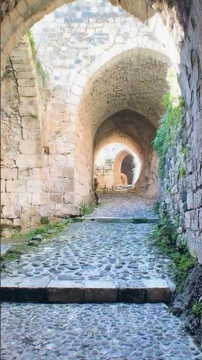 The Beautiful Castle of Krak des Chevaliers, Syria 🇸🇾