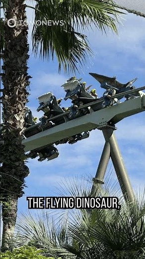 Naik Roller Coaster 3x, Batu Ginjal Turis Keluar #shorts