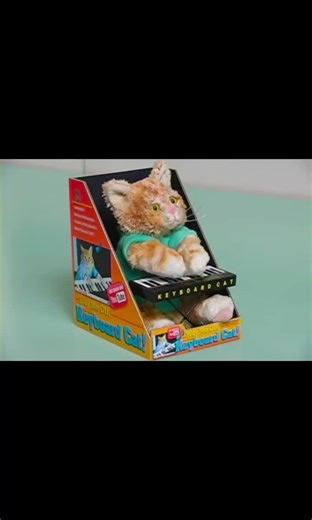 Playful Keyboard Cat: Adorable Plush Toy Performance