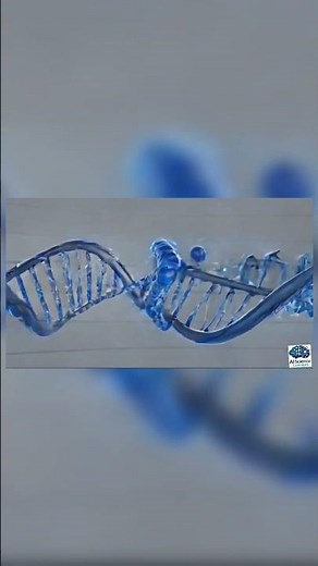 DNA Replication | Molecular Basis of Inheritance | Animated Diagram Explanation