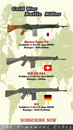 🔥 Cold War Battle Rifles: Type 64 → SIG SG 542 → G3 ⚡#shorts #military #history #subscribe