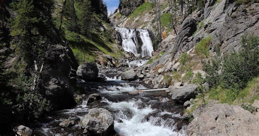 Yellowstone bear attack site was closed to spring hiking until 2024 to reduce human-grizzly conflicts