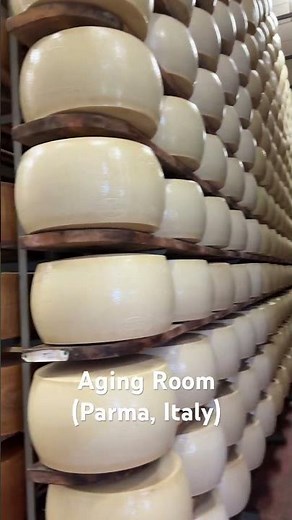 🇮🇹 Parmigiano Regiano cheese aging room | Parma, Italy | Cool Trip Walks