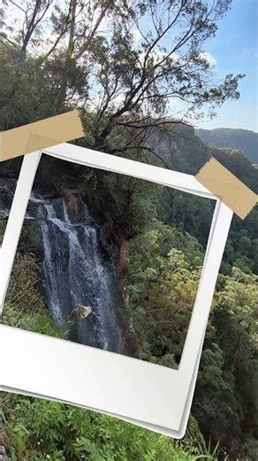 Discovering Springbrook this Easter