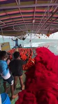 Insane Fish Netting on Tiny Boat?