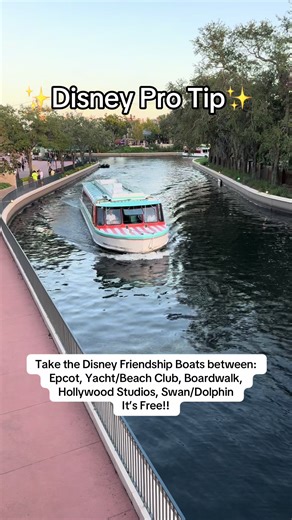✨FREE Quotes/FREE Planning 📧 Lgeorge@MickeyTravels.com #disney #disneytips #disneyworld #disneyvacation #fyp