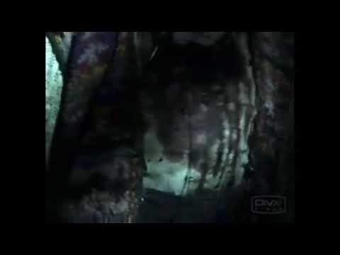 Alien try to come out of women body/stomach