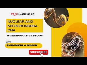 Nuclear DNA vs Mitochondrial DNA | #4