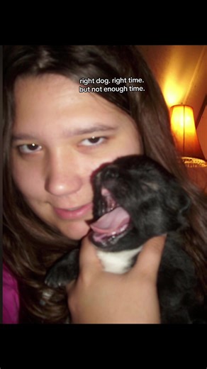 RIP Thunder. Still can’t believe you’re gone. I’ve been crying to myself since. Trying to stay strong, not only in front of my parents but for the other animals. The house feels so different, quiet, lonely and sad without you buddy. 💔😭💔😭💔😭.