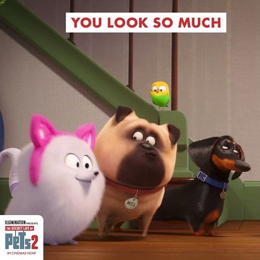 The Secret Life of Pets 2 | House Glimpse
