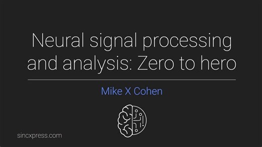 无需担心的信号伪影 Signal artifacts (not) to worry about | Mike X Cohen