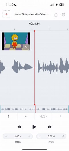 Homer Simpson's Iconic Voice Reverberates in the City