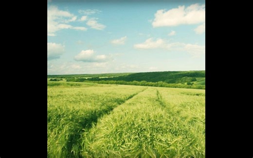 单曲推荐 | Silent Partner -《Spring In My Step》