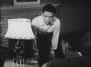 Model Airplane Flight Dynamics: Convection & Wind Effects