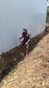 247K views · 2.9K reactions | Luister die liedjie in die agtergrond  To be in 2 places at the same time  Ek was nou uitgeroep na n kobra by n plaas naby Landbouskool in die agter Paarl , na n lang gegrawe vind ek die kobra maar toe kom n boomslangetjie verby my 藍 1. Kaapse Kobra  2. Juvenile Boomslang Both highly venomous Hestie Kruger was agter die kamera lens  Een vir die boeke | Boland Snake Removals 24/7 and Pest Control | Facebook