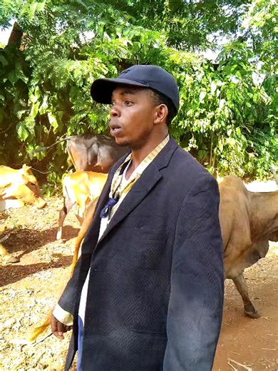 Mapua Msambaa Videos: Discover Trending Content