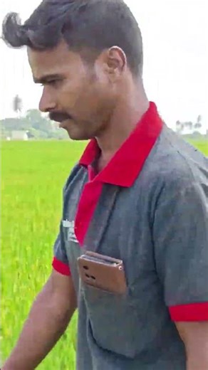 #agriculture #agriculturetamil #agritips #farmerlife #farming